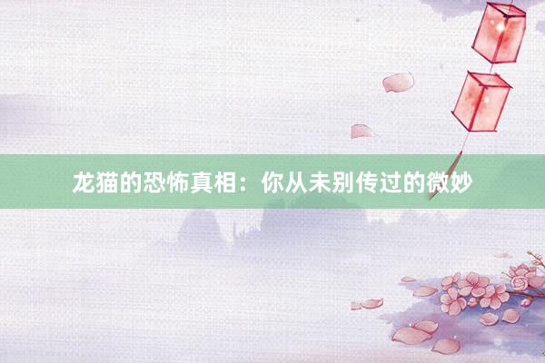 龙猫的恐怖真相：你从未别传过的微妙